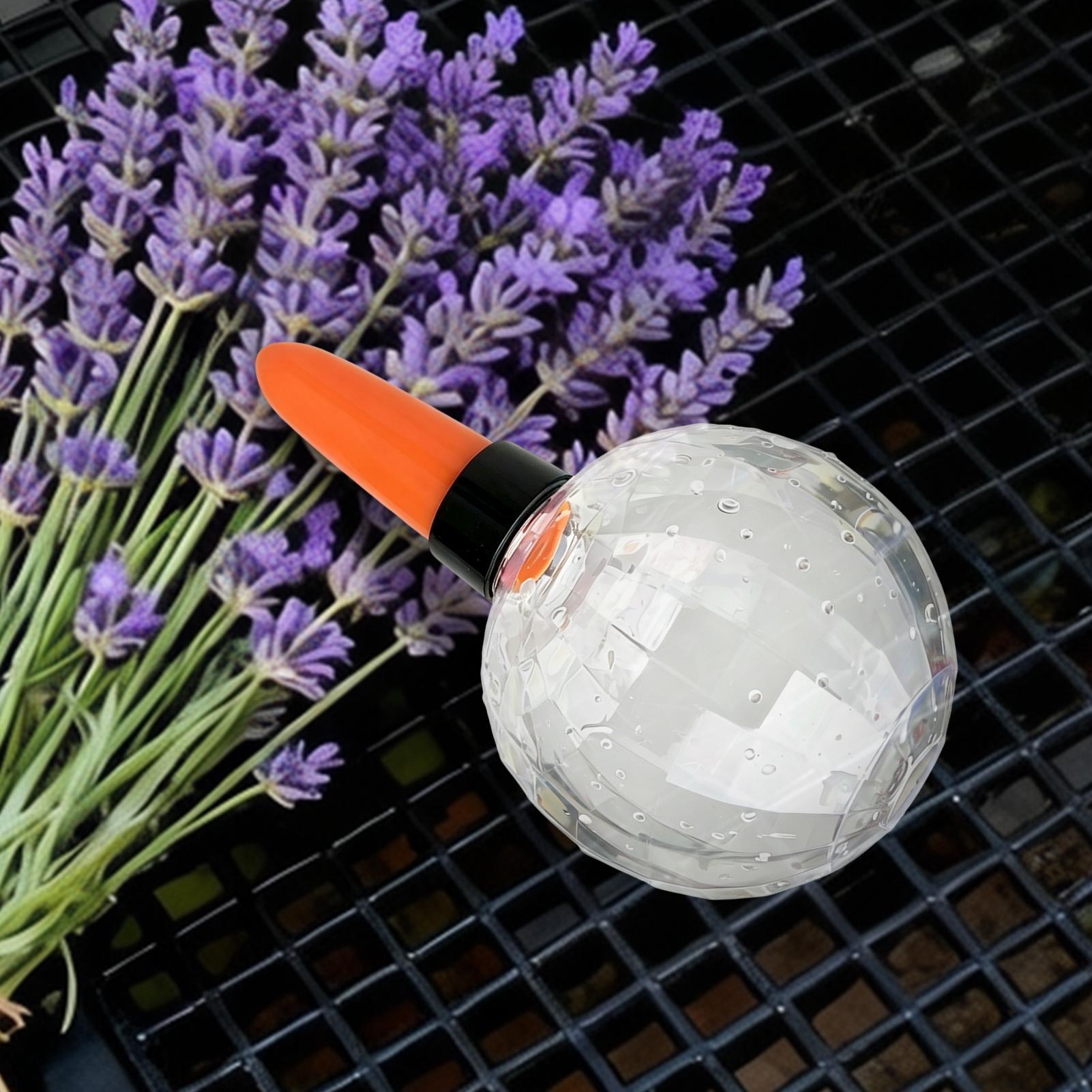 Self Watering Planter Insert 5 - Self Watering Insert ulasan dan harga