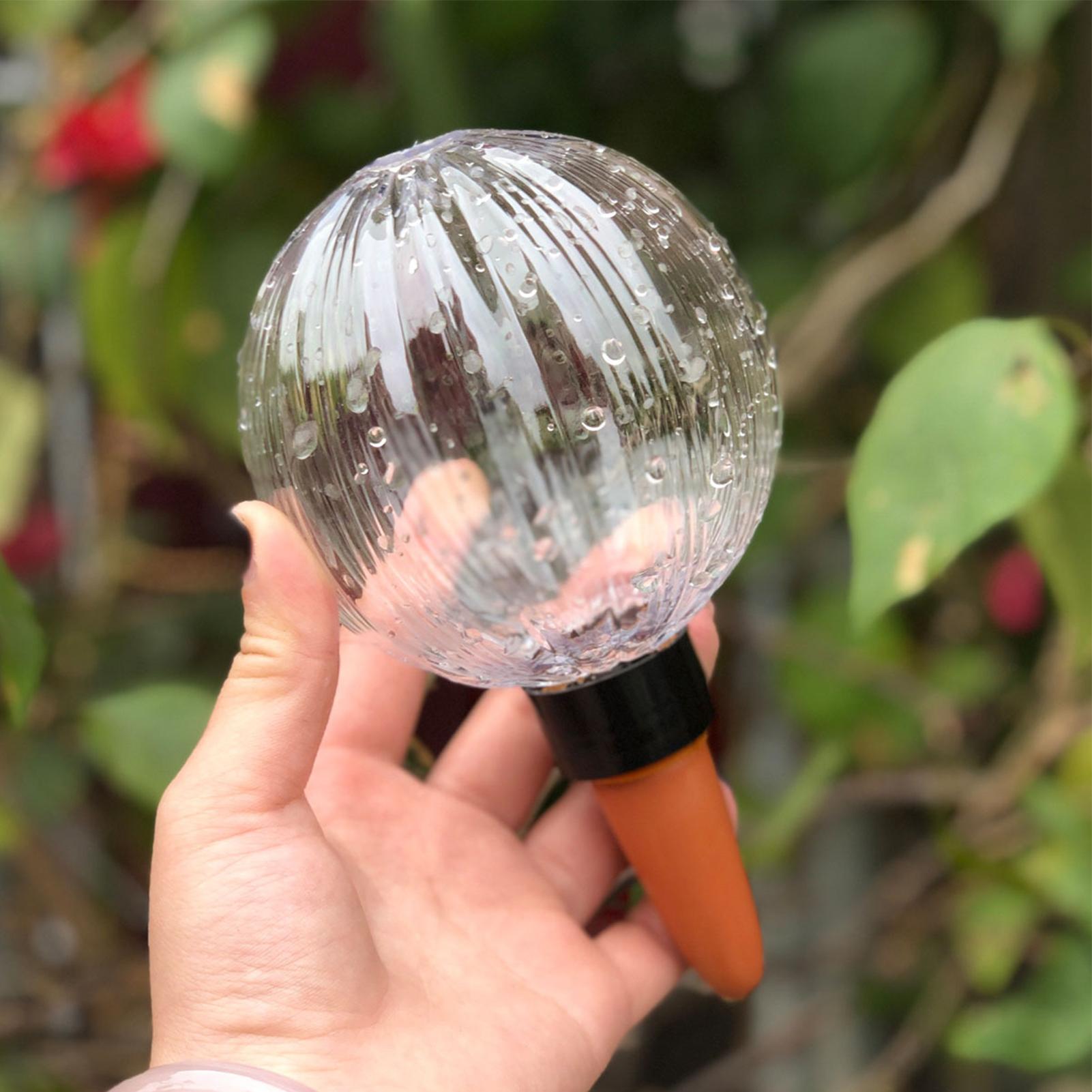 Self Watering Planter Insert 5 - Self Watering Insert ulasan dan harga