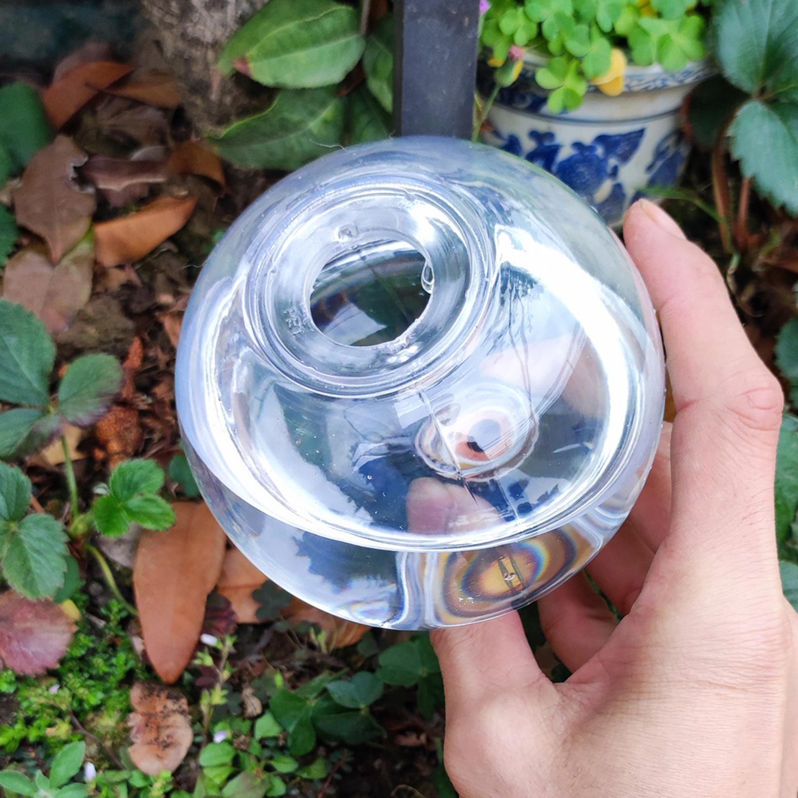 500ml Automatic Watering Globe - Self Watering Insert ulasan dan harga