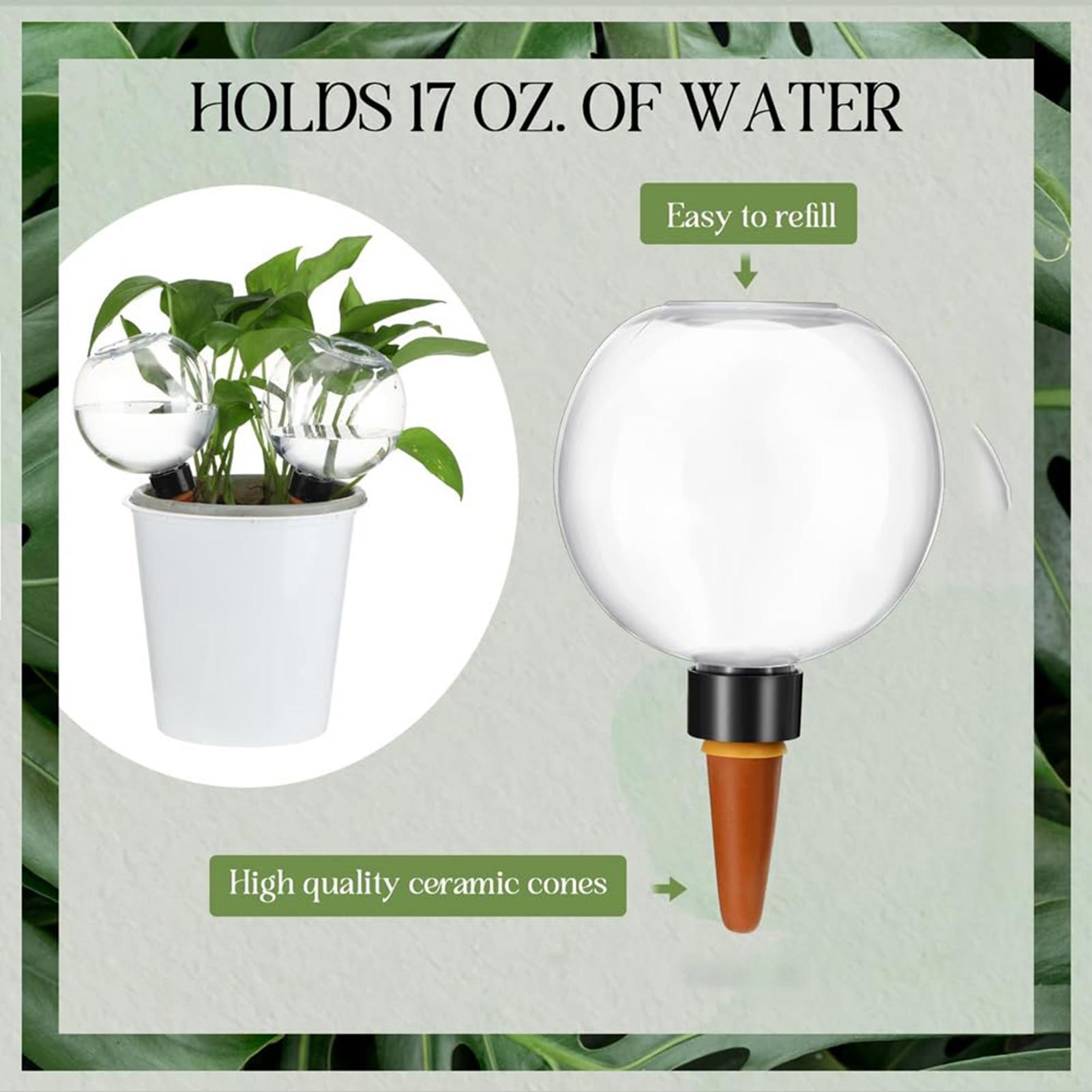 500ml Automatic Watering Globe - Self Watering Insert ulasan dan harga