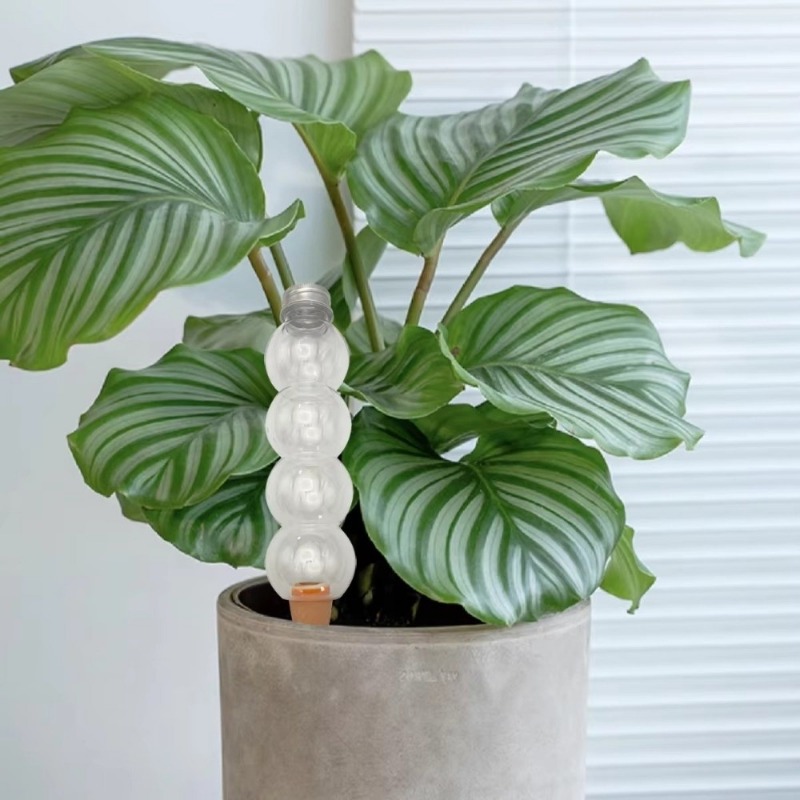 1/2/4Pcs Self Watering Waterin - Self Watering Insert ulasan dan harga